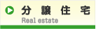 �s���Y���@�`Real estate�`